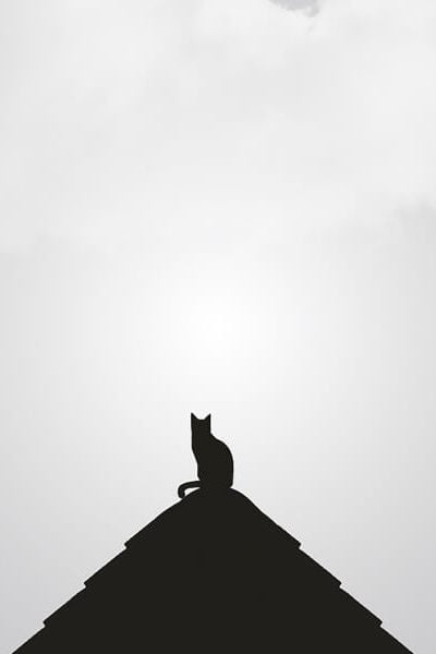 Home-Ricette 7 neve minimal blogger 11